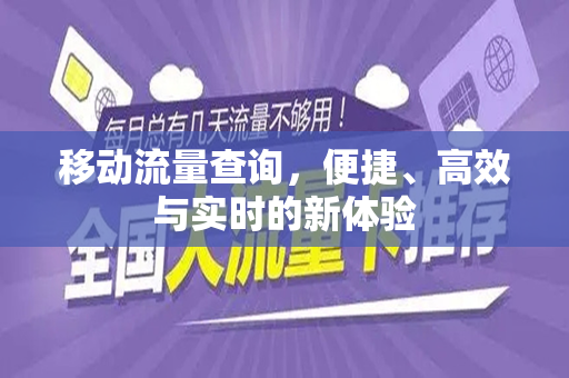 移动流量查询，便捷、高效与实时的新体验