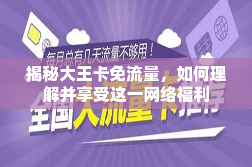 揭秘大王卡免流量，如何理解并享受这一网络福利