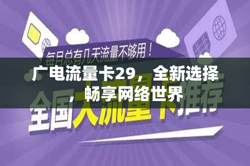 广电流量卡29，全新选择，畅享网络世界