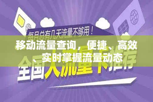 移动流量查询，便捷、高效、实时掌握流量动态