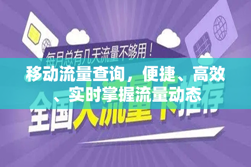 移动流量查询，便捷、高效、实时掌握流量动态