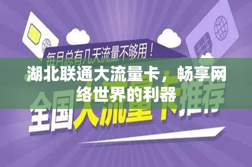 湖北联通大流量卡，畅享网络世界的利器