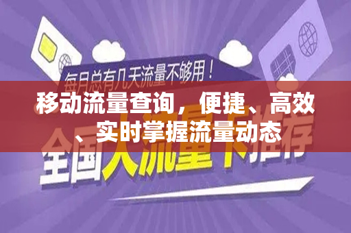 移动流量查询，便捷、高效、实时掌握流量动态