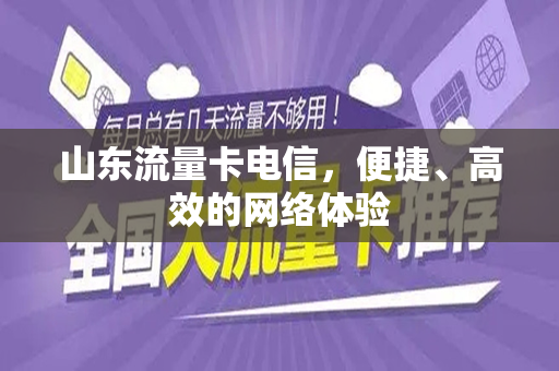 山东流量卡电信，便捷、高效的网络体验