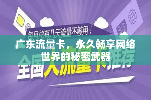 广东流量卡，永久畅享网络世界的秘密武器