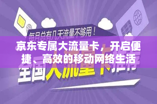 京东专属大流量卡，开启便捷、高效的移动网络生活