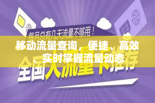 移动流量查询，便捷、高效、实时掌握流量动态