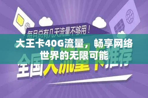 大王卡40G流量，畅享网络世界的无限可能