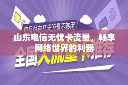 山东电信无忧卡流量，畅享网络世界的利器