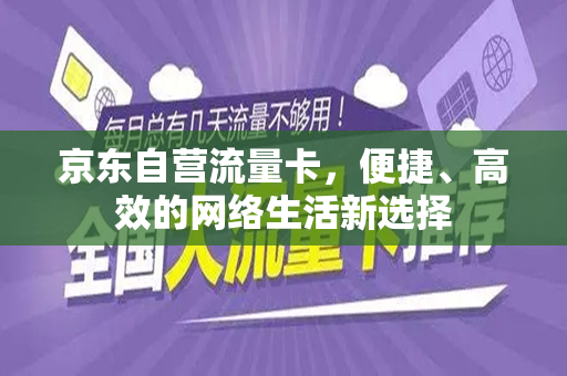 京东自营流量卡，便捷、高效的网络生活新选择