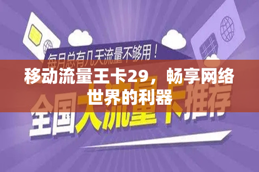 移动流量王卡29，畅享网络世界的利器