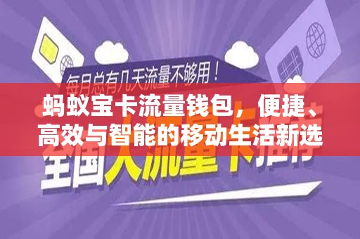 蚂蚁宝卡流量钱包，便捷、高效与智能的移动生活新选择