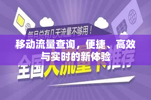 移动流量查询，便捷、高效与实时的新体验