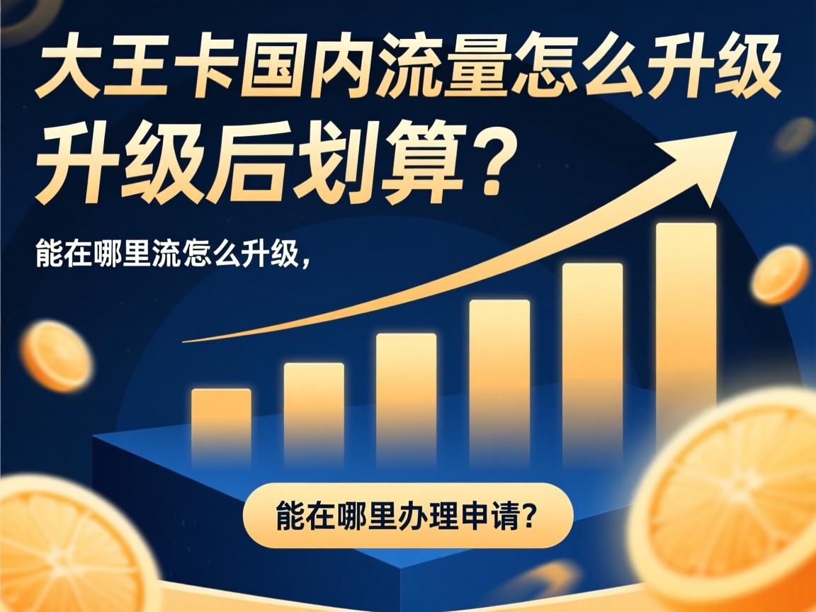 大王卡国内流量怎么升级，升级后划算吗，能在哪里办理申请？