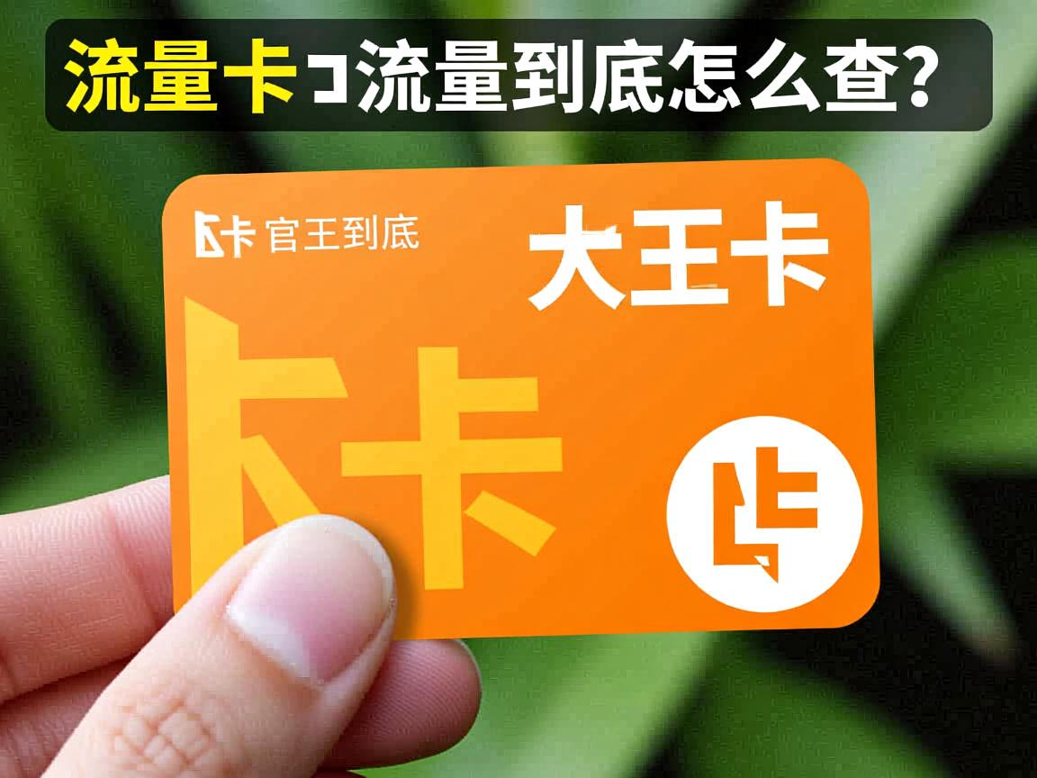 大王卡流量到底怎么查?这几个官方方法亲测有效